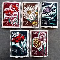 Марки СССР 1965 год Цветы
