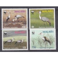 1987 Малави 477-480 WWF / Птицы 19,00 евро