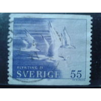 Швеция 1971 Птицы летят