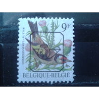 Бельгия 1985 Стандарт, птица* Надпечатка предварительного гашения