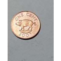 Бермуды 1 цент 2007 года .