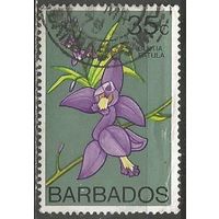 Барбадос. Цветы. Орхидеи. 1974г. Mi#375.