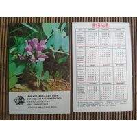 Карманный календарик.1984 год. Охраняемое растения ЛатССР