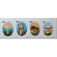 Куба /1988/ флора-Грибы / 4 марки из серии