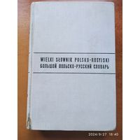 Большой польско-русский словарь.