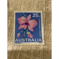 Австралия. Цветы. Cooktown orchid. Марка из серии