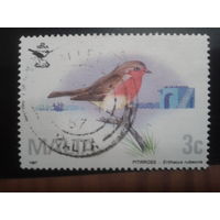 Мальта 1987 птица