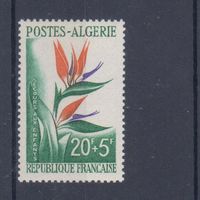 [815] Французские колонии.Алжир 1958. Флора.Цветы. Одиночный выпуск MNH