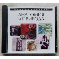 Библиотека изображений.Анатомия и природа. 2003. CD.