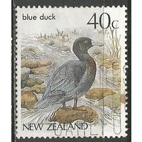 Новая Зеландия. Птицы. Синяя утка. 1987г. Mi#984.