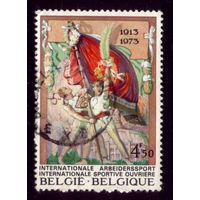 1 марка 1973 год Бельгия 1726