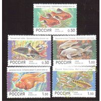 Марки - Россия, 1998 - фауна, аквариумные рыбки