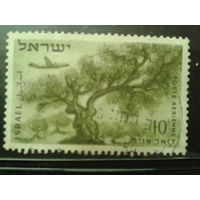 Израиль 1953 Авиапочта, дерево