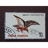 Румыния 1993 г. Птицы.