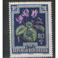 Марка из серии 1948г. Австрия "Цветы. Альпийский цикламен" MNH