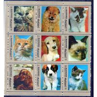 Собаки и кошки  марок Манама