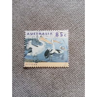 Австралия 1994. Птицы. Пеликаны