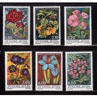 Югославия-1975(Мих.101-1606) **  , Флора, Цветы (полная серия)