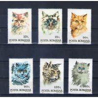 Кошки на марках  Румынии