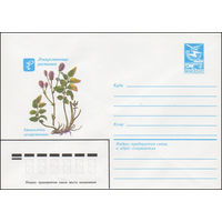 Художественный маркированный конверт СССР N 83-580 (07.12.1983) Лекарственные растения  Кровохлебка лекарственная