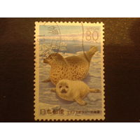 Япония 1999 тюлени