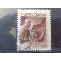 Польша 1955 Профсоюз работников просвещения