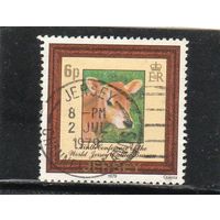 Джерси. Mi:JE 196.Джерсийский теленок (Bos primigenius taurus). Серия: 9-я конференция Всемирного бюро крупного рогатого скота Джерси .1979