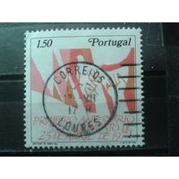 Португалия 1975 Цветная революция, 1-я годовщина