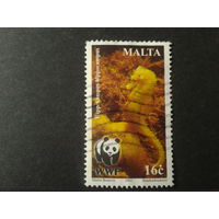 Мальта 2002 морской конек WWF