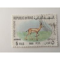 Ирак 1969. Животные