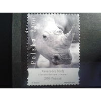 Польша, 2005, Зоопарк, носорог
