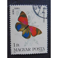 Венгрия  1984 г. Бабочки.