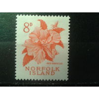 Норфолк о-в 1960 Стандарт, цветы*