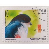 Куба 2010, Птица