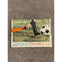 Нидерланды 1981. Футбол