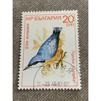 Болгария 1987. Птицы. Sitta europaea. Марка из серии
