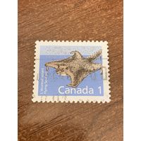 Канада 1991. Северная летающая белка. Марка из серии