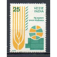 Международный симпозиум по выращиванию пшеницы Индия 1978 год серия из 1 марки