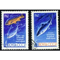 Рыбы СССР 1962 год серия из 2-х марок