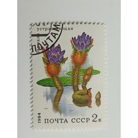 1984 СССР Водные цветы. Эвриала устращающая