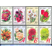 Беларусь 2008, Флора.** Двенадцатый стандартный выпуск. Садовые цветы, 8 марок   мел. бумага