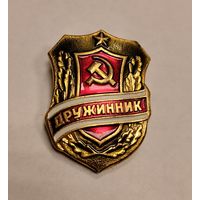 Дружинник знак 1987