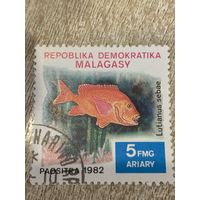 Мадагаскар 1982. Рыбы. Lutianus sebae. Марка из серии