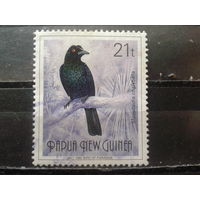 Папуа Новая Гвинея 1992 Птица