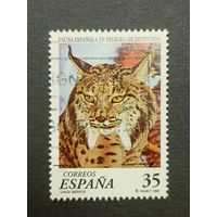 Испания 1998. Редкие животные - Евразийская рысь. Полная серия