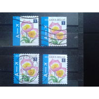 Бельгия 2009 Стандарт, тюльпаны, полный комплект разновидностей Михель-6,4 евро гаш