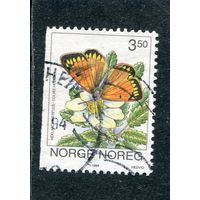 Норвегия. Бабочки