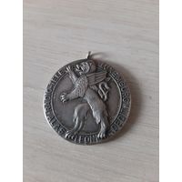 Медаль, КРЫЛАТЫЙ ЛЕВ. 10 лет немецкой программе на радио Люксембург. Редкая серебряная медаль 40 мм 36 гр. 925 проба 1967 год