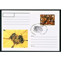 Почтовая карточка с оригинальной маркой и спецгашением Тува 1999 год Пчелы