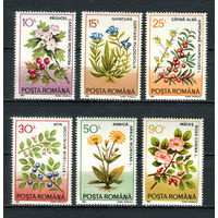 Румыния - 1993 - Цветы и ягоды - [Mi. 4866-4871] - полная серия - 6 марок. MNH.  (Лот 90DY)-T3P41